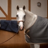 TOBS wicking rug