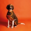 TOBS Dog Coat